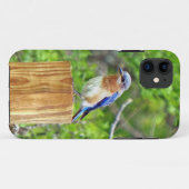 Blauwvogel op een omheining post Case-Mate iPhone case (Achterkant (horizontaal))