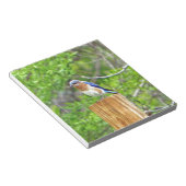 Blauwvogel op een omheining post notitieblok (Schuin)