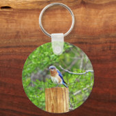 Blauwvogel op een omheining post sleutelhanger (Voorkant)