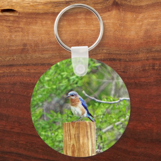 Blauwvogel op een omheining post sleutelhanger (Voorkant)