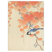 Blauwvogel op een Paulownia-boom Klembord (Achterkant)