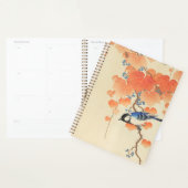 Blauwvogel op een Paulownia-boom Planner (Display)