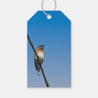 Blauwvogel op tak cadeaulabel