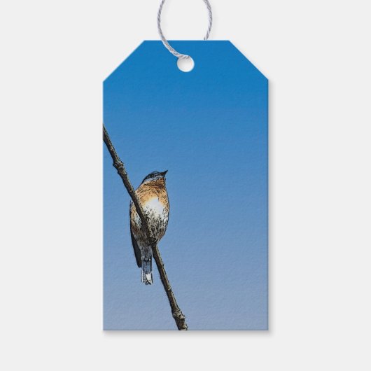 Blauwvogel op tak cadeaulabel (Voorkant)