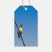 Blauwvogel op tak cadeaulabel (Achterkant)
