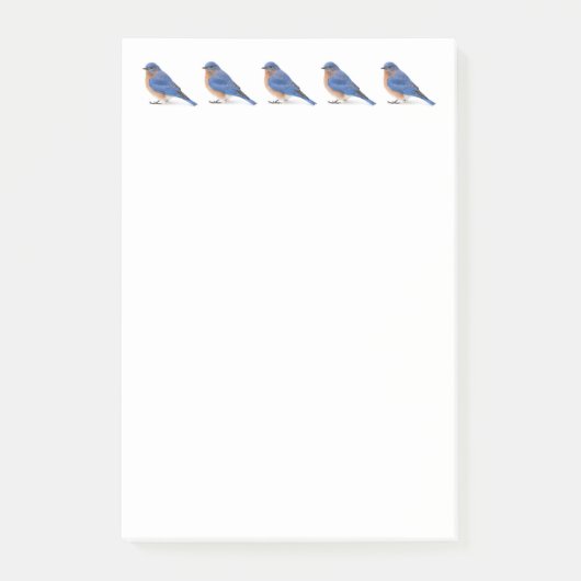 Blauwvogel Post-it® Notes (Voorkant)