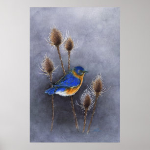 Blauwvogel Poster afdrukken