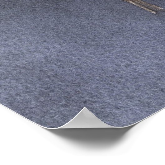 Blauwvogel Poster afdrukken (Hoek)