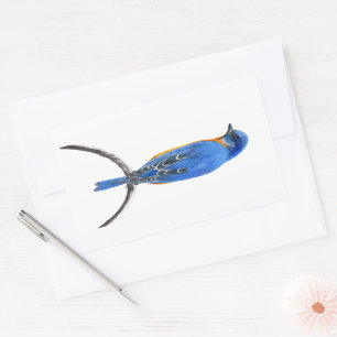 Blauwvogel Rechthoekige Sticker