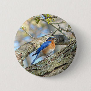 Blauwvogel Ronde Button 5,7 Cm