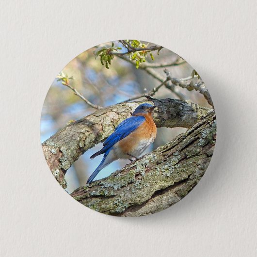 Blauwvogel Ronde Button 5,7 Cm (Voorkant)