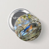 Blauwvogel Ronde Button 5,7 Cm (Voorkant /achterkant)
