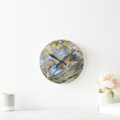 Blauwvogel Ronde Klok (Huis)