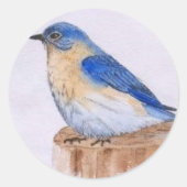 Blauwvogel Ronde Sticker (Voorkant)
