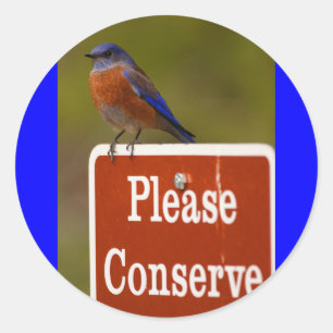 blauwvogel ronde sticker