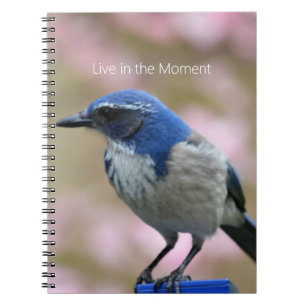 Blauwvogel Roze Bloemen (mijn fotografie) Notitieboek