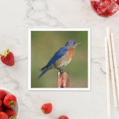 Blauwvogel Servetten (Insitu)
