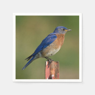 Blauwvogel Servetten