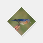 Blauwvogel Servetten (Hoek)