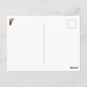 Blauwvogel, Sideways Glance Briefkaart (Achterkant)