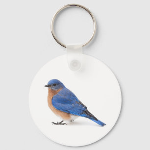 Blauwvogel Sleutelhanger