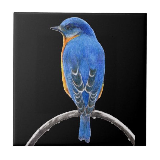 Blauwvogel Tegeltje (Voorkant)