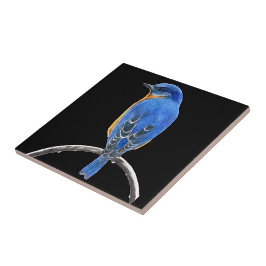 Blauwvogel Tegeltje (Zijkant)