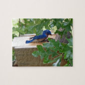 Blauwvogel thuis legpuzzel (Horizontaal)