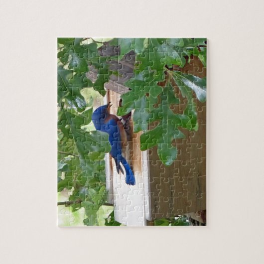 Blauwvogel thuis legpuzzel (Verticaal)
