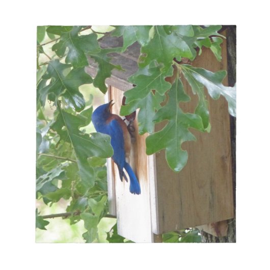 Blauwvogel thuis notitieblok (Voorkant)