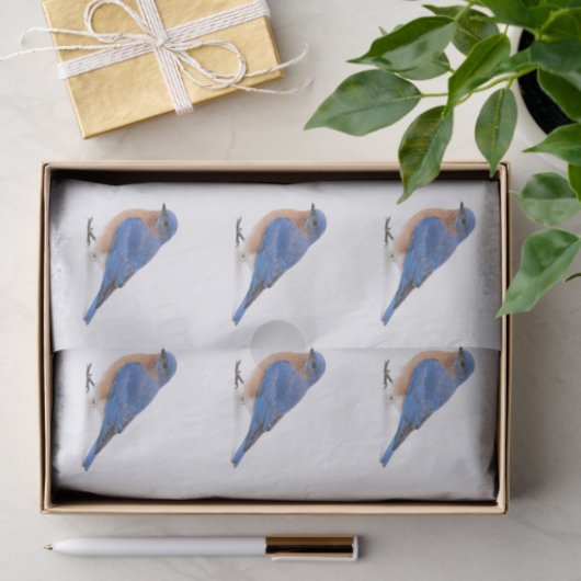 Blauwvogel Tissuepapier (Geschenk)