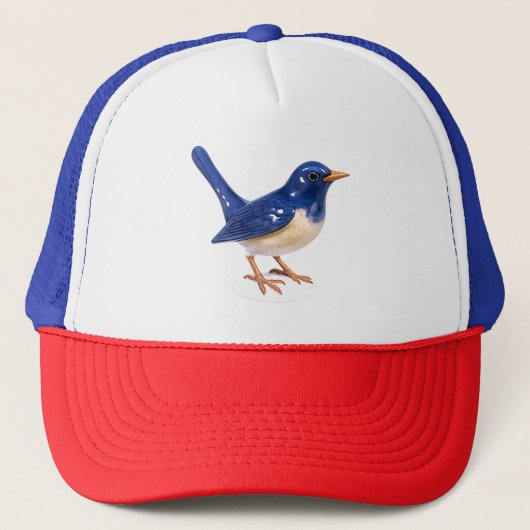 Blauwvogel Trucker Pet (Voorkant)