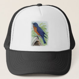 Blauwvogel Trucker Pet