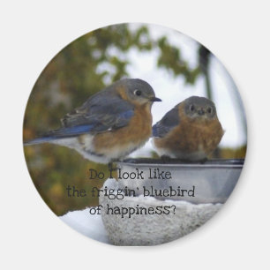 Blauwvogel van geluk Comical Magneet