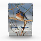 Blauwvogel van geluk Inspirerend Fotoblokken (Voorkant)