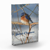 Blauwvogel van geluk Inspirerend Fotoblokken (Links)