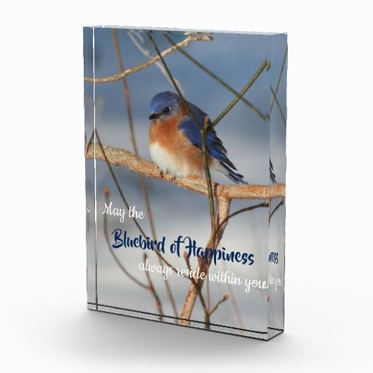 Blauwvogel van geluk Inspirerend Fotoblokken (Rechts)