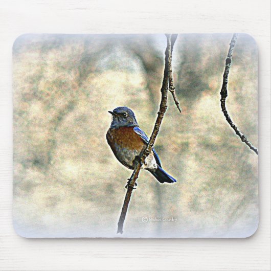 Blauwvogel van geluk muismat (Voorkant)