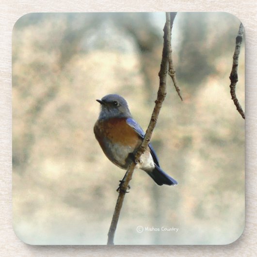 Blauwvogel van geluk Onderzetters (Voorkant)