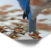 Blauwvogel van geluk poster (Hoek)