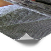 Blauwvogel van geluk - Poster (Hoek)