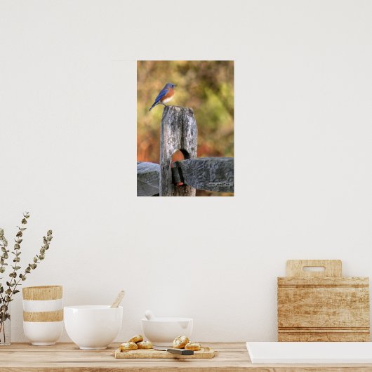 Blauwvogel van geluk - Poster (Keuken)