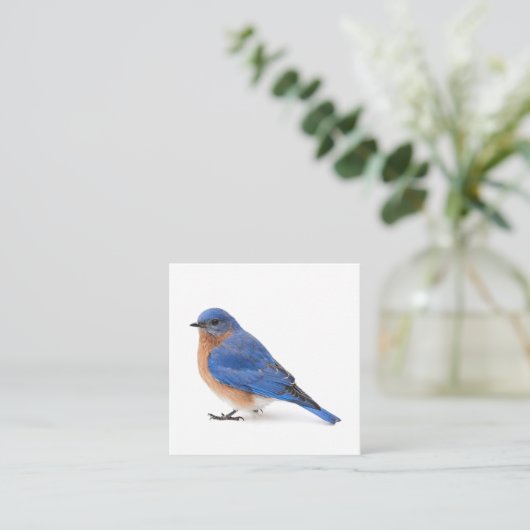 Blauwvogel Vierkante Visitekaartje (Staand voorkant)