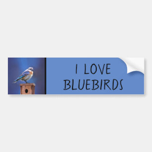 Blauwvogel (Vrouw) Schilderen - Oorspronkelijke vo Bumpersticker