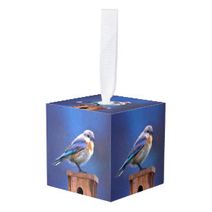 Blauwvogel (Vrouw) Schilderen - Oorspronkelijke vo Decoratie