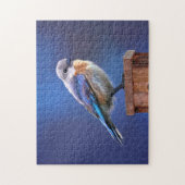 Blauwvogel (Vrouw) Schilderen - Oorspronkelijke vo Legpuzzel (Verticaal)