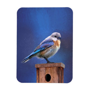 Blauwvogel (Vrouw) Schilderen - Oorspronkelijke vo Magneet