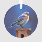 Blauwvogel (Vrouw) Schilderen - Oorspronkelijke vo Ornament (achterkant)