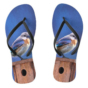 Blauwvogel (Vrouw) Schilderen - Oorspronkelijke vo Teenslippers