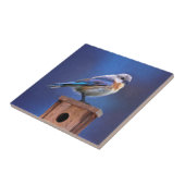 Blauwvogel (Vrouw) Schilderen - Oorspronkelijke vo Tegeltje (Zijkant)